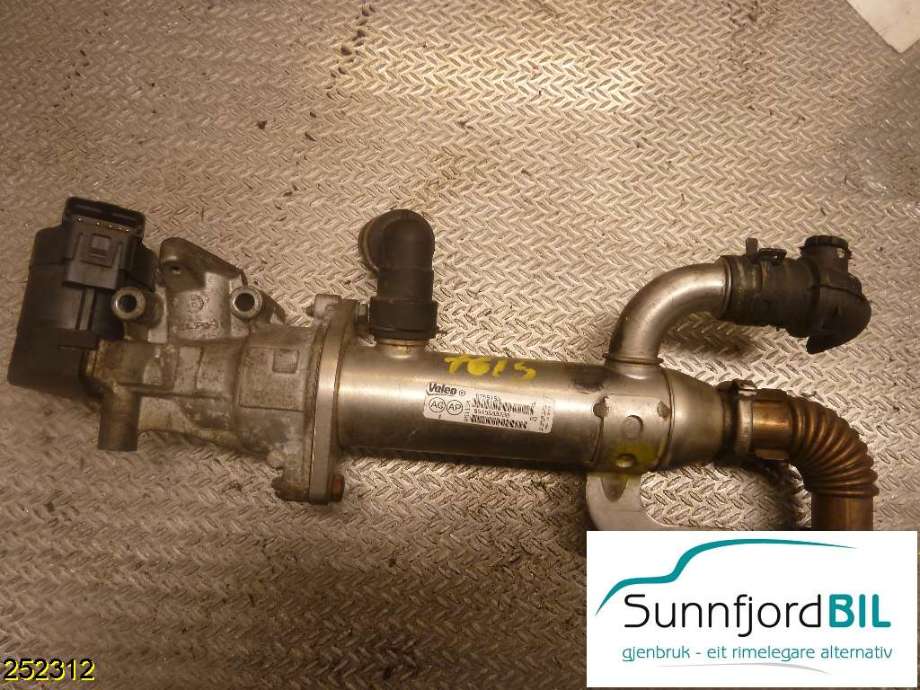 EGR-ventil til Volvo S40, 2004-2007 (Type II, Fase 1)  (VOLVO|36000980)