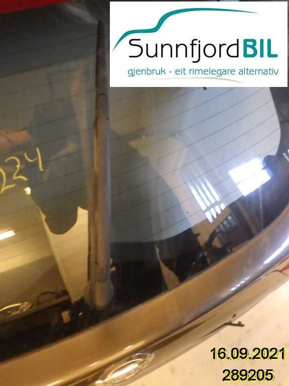 Viskerarm bakrute til Nissan Qashqai, 2014-2021 (Type II)  (NISSAN|)