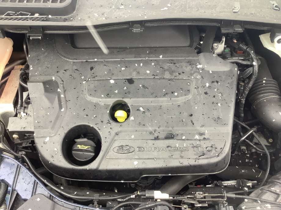 Motor diesel til Ford Kuga, 2013-2019  (FORD|UFMA)