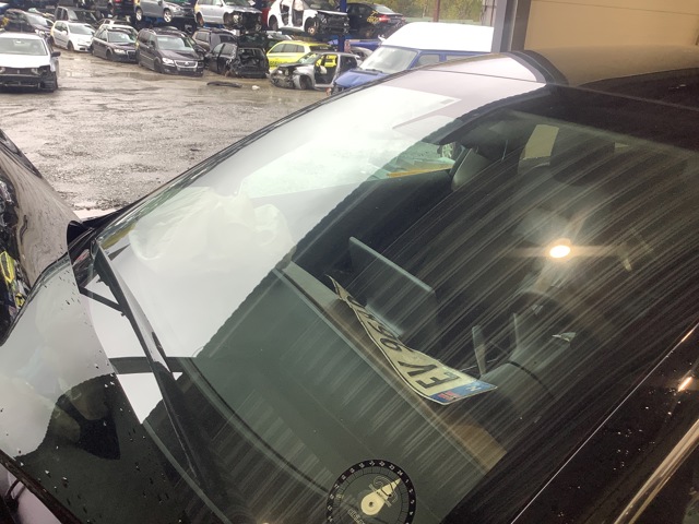 Frontrute til Tesla Model 3, 2018-2023 (Fase 1)  (TESLA|)