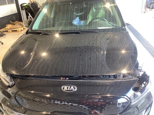 Panser til Kia Niro, 2016-2021  (KIA|66400G5000)