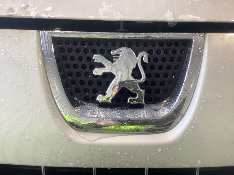 Grill til Peugeot 3008, 2009-2016 (Type I)  (PEUGEOT|)
