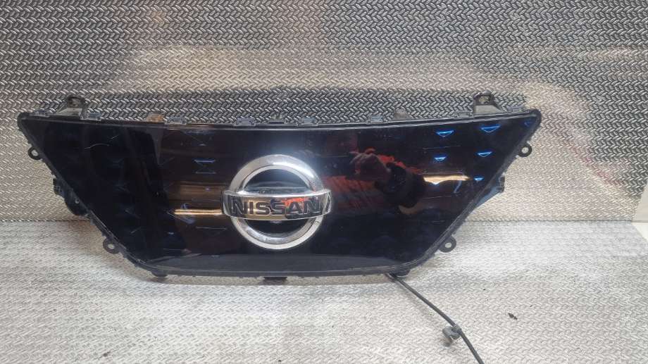 Grill til Nissan Leaf, 2018-->> (Type II)  (NISSAN|620725SK0D)
