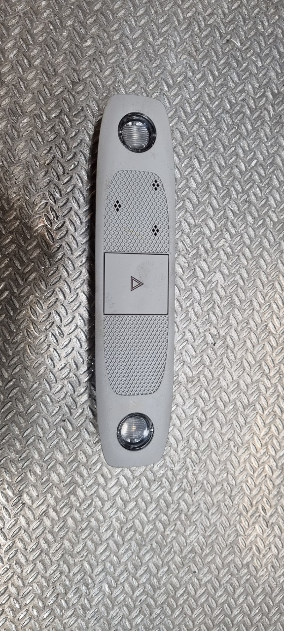Taklyspanel til Tesla Model 3, 2018-2023 (Fase 1)  (TESLA|109257300L)