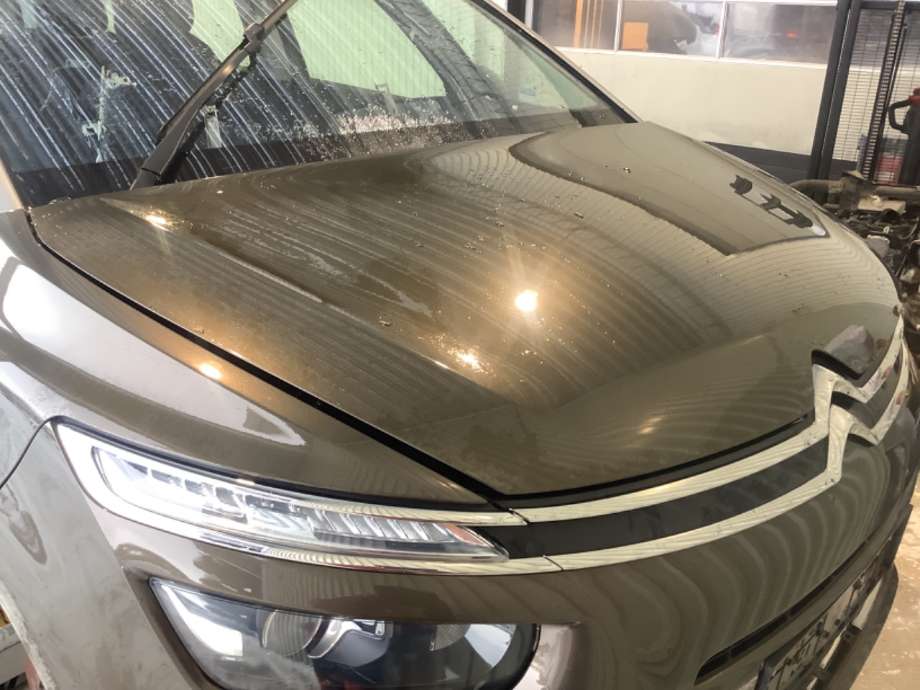 Panser til Citroën C4, Picasso 2013-2018 (Type II) (CITROEN|)