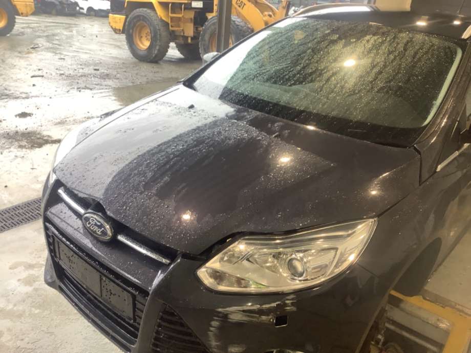 Panser til Ford Focus, 2011-2014 (Type III, Fase 1)  (FORD|PBM51-A16610-AC)
