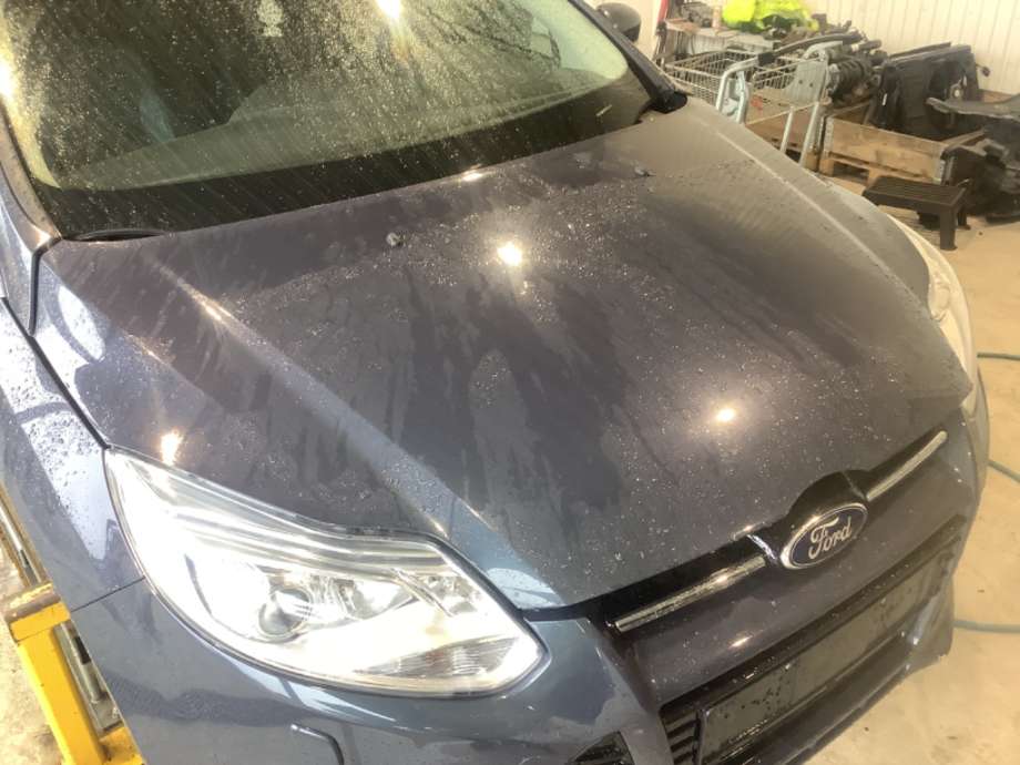 Panser til Ford Focus 2011-2014 (Type III, Fase 1)  (FORD|PBM51-A16610-AC|1797477|)