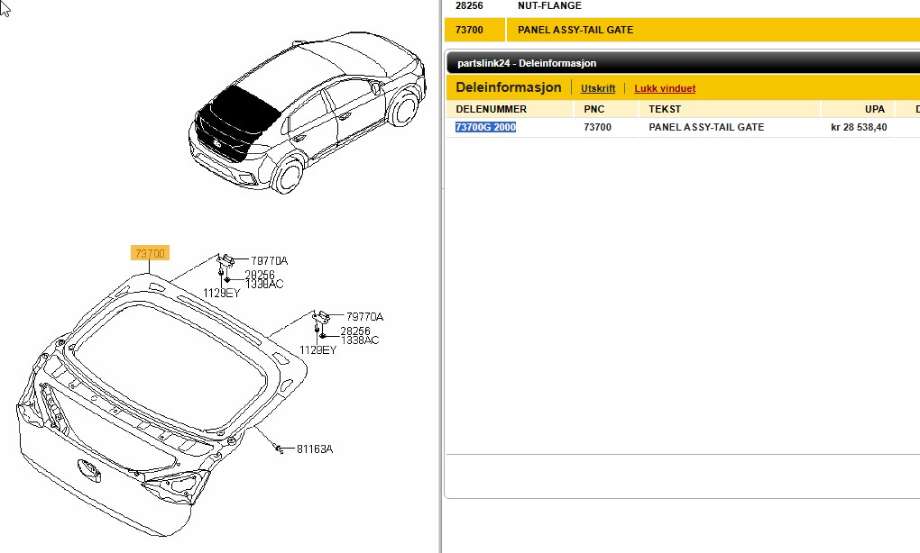 Bakluke combi til Hyundai Ioniq Electric 2019-->> (Fase 2)  (HYUNDAI|73700G 2000|)