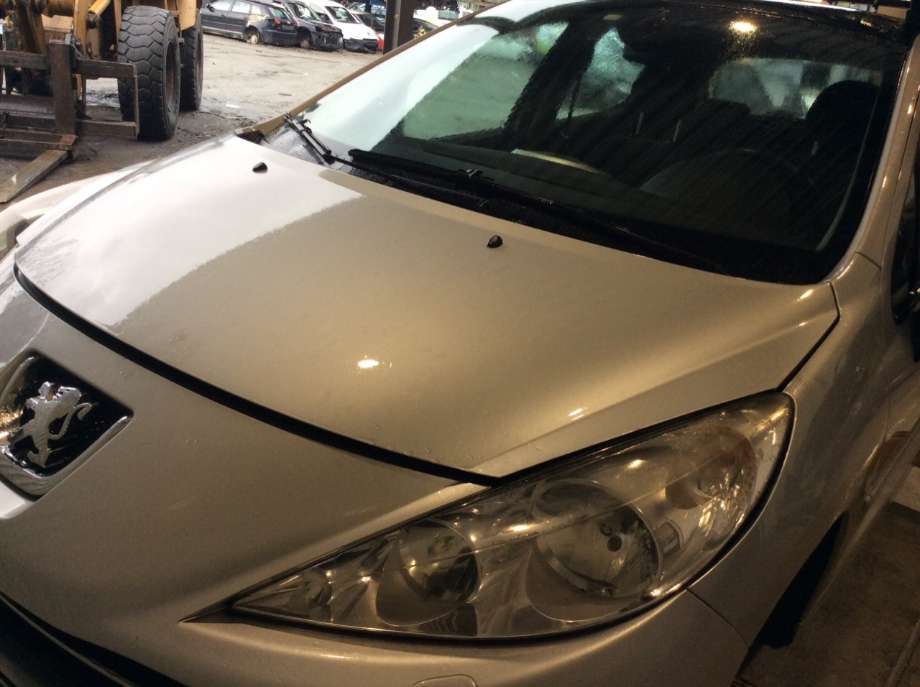 Panser til Peugeot 207, 2006-2012  (7901 N2)