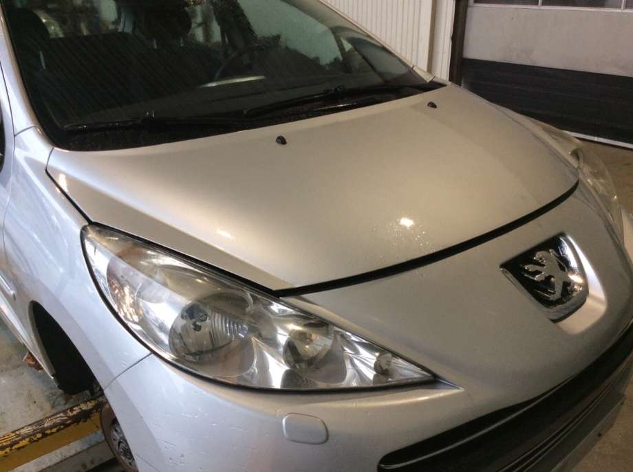 Panser til Peugeot 207 2006-2012  (7901 N2|)