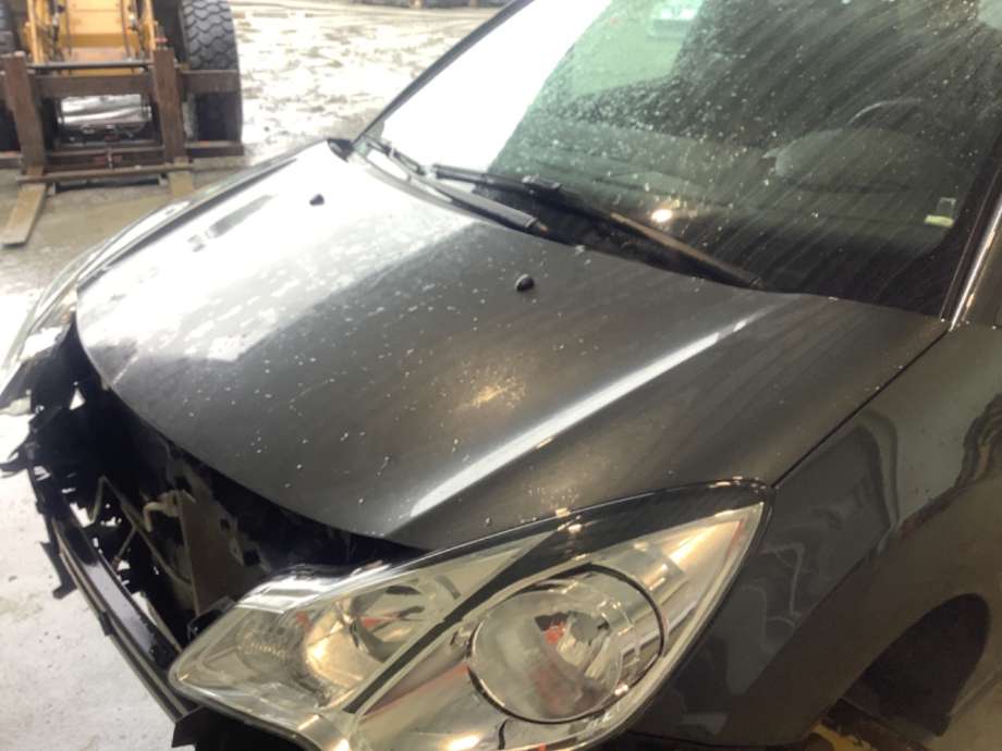 Panser til Citroën C3, 2010-2016 (Type II)  (CITROEN|7901 R1)