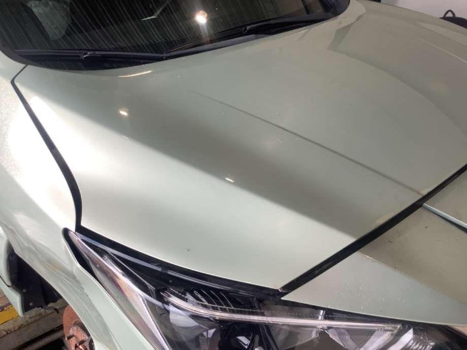 Panser til Nissan Leaf 2018-->> (Type II)  (NISSAN|F51005SHMA|)