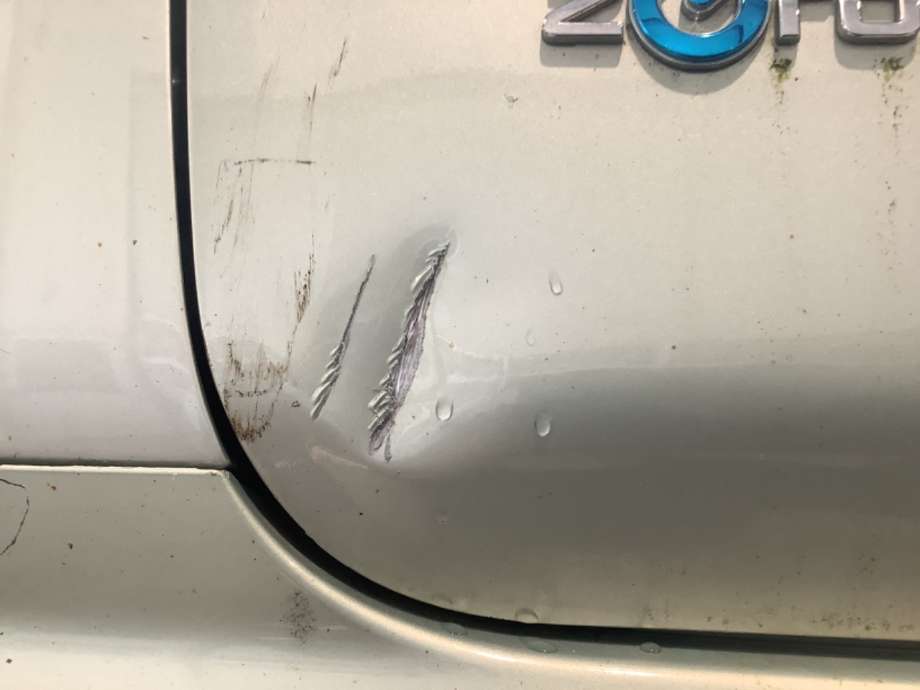 Dør venstre foran til Nissan Leaf 2018-->> (Type II)  (NISSAN|)