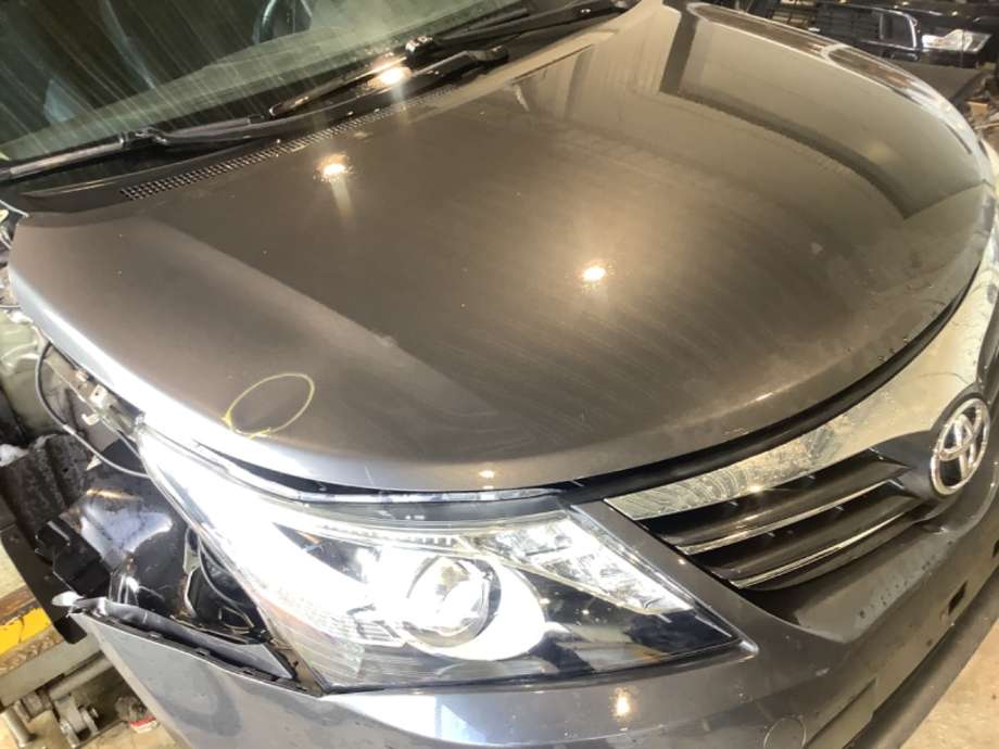 Panser til Toyota Avensis 2009-2015 (Type III, Fase 1)  (TOYOTA|)