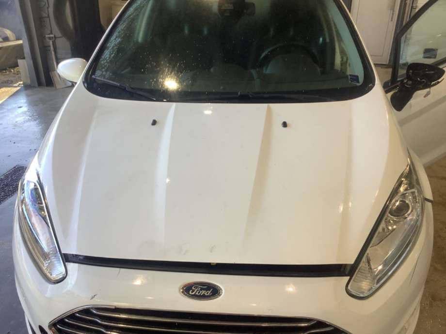 Panser til Ford Fiesta, 2013-2017 (Type VI, Fase 2)  (FORD|)