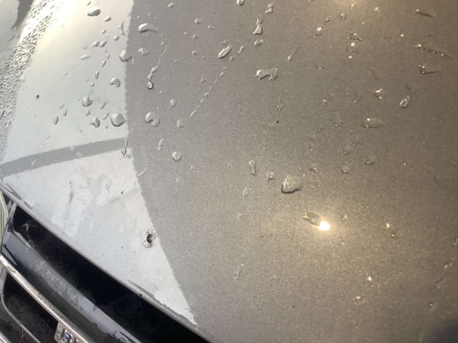 Panser til VW Golf VI 2008-2012 (VOLKSWAGEN|)
