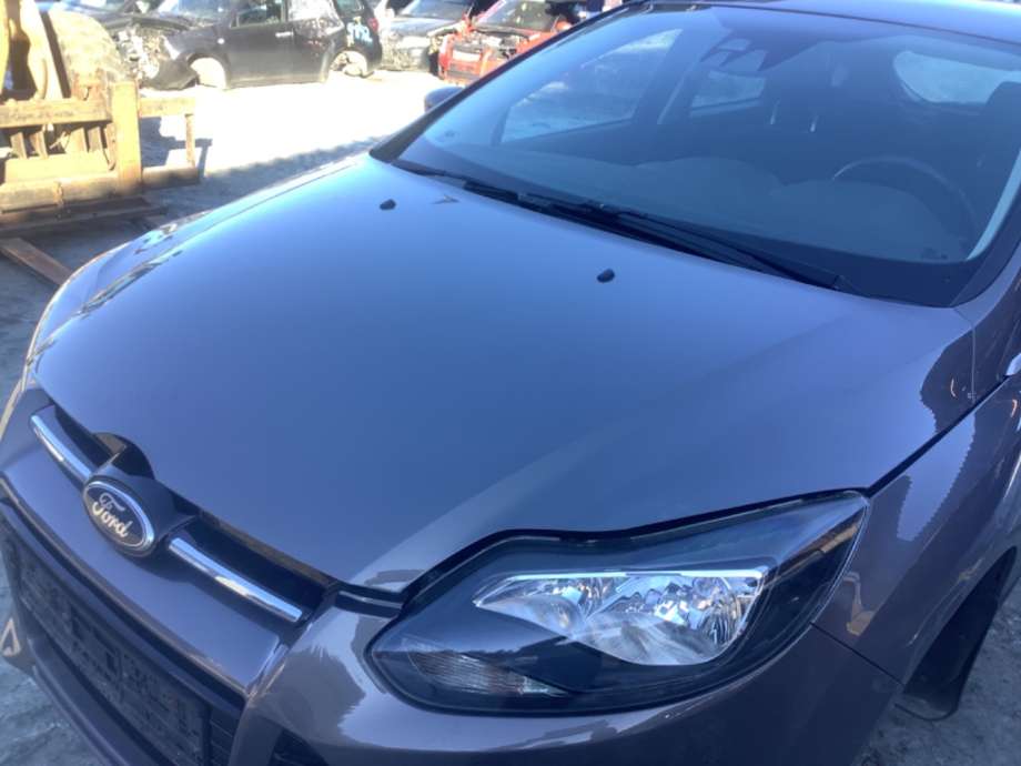 Panser til Ford Focus, 2011-2014 (Type III, Fase 1)  (FORD|PBM51-A16610-AC)