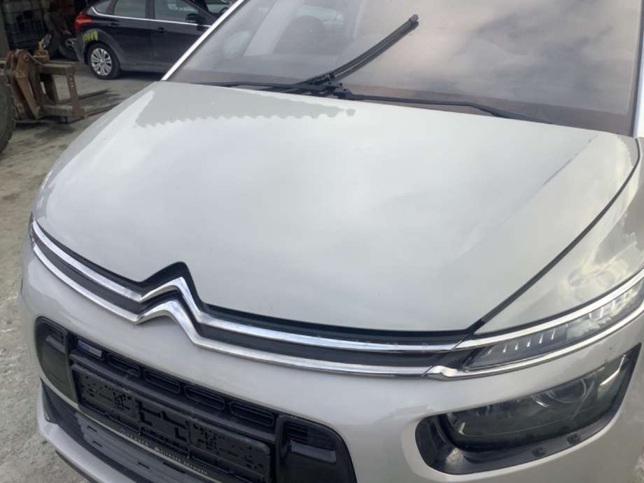Panser til Citroën C4, Picasso, 2013-2018 (Type II)  (CITROEN|)