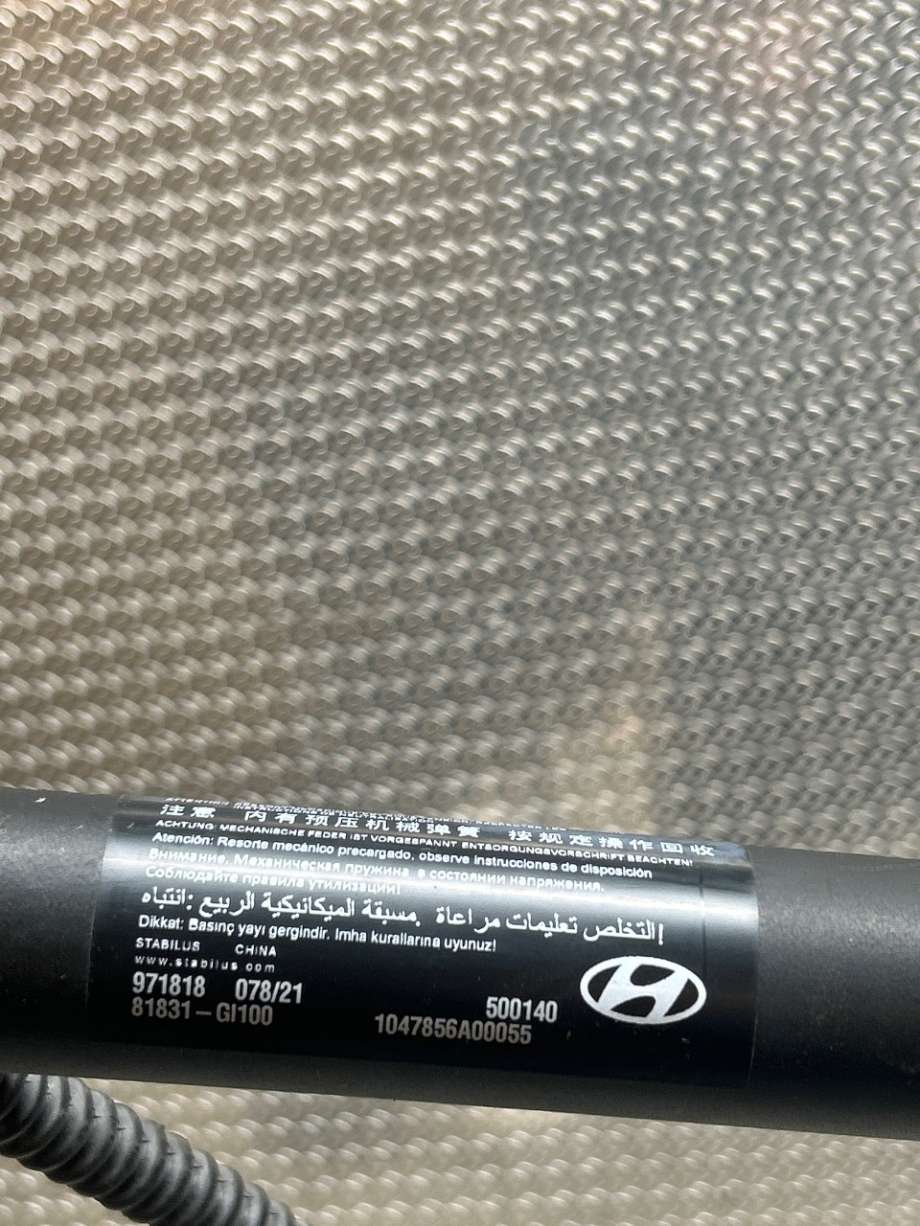 Baklukeåpner motor til Hyundai Ioniq 5 2021-->>  (HYUNDAI|81831GI100|81831-GI100|81831 GI100)