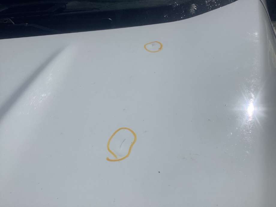 Panser til Ford Kuga, 2008-2012 (Type I)  (FORD|)
