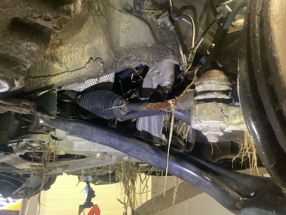 Tannstang elektrisk til VW Passat, 2015-2019 (Fase 1) (B8) (B8) (VOLKSWAGEN|)