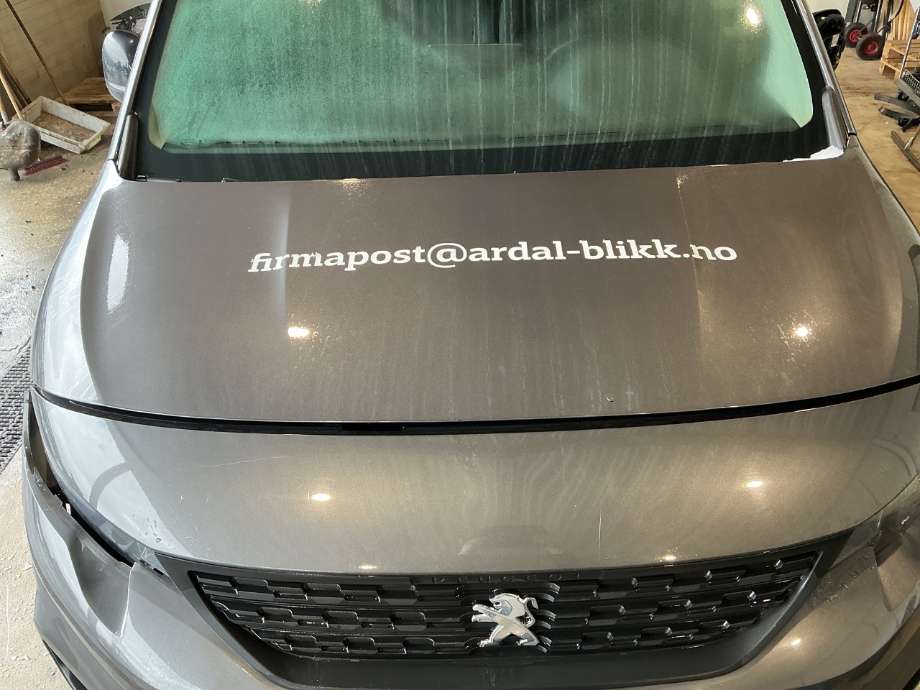 Panser til Peugeot Partner, 2019-->> (Type III)  (PEUGEOT|)