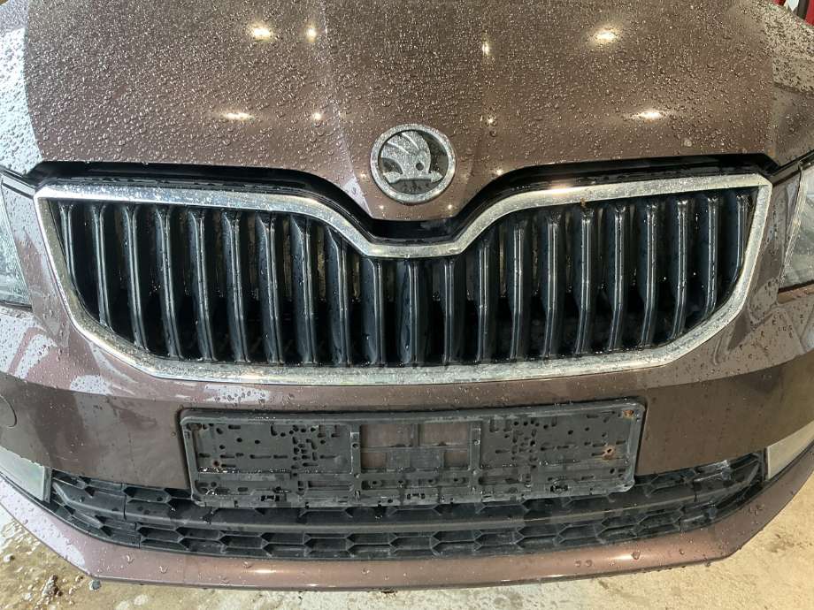 Grill til Škoda Octavia, 2013-2016 (Type III, Fase 1)  (SKODA|)