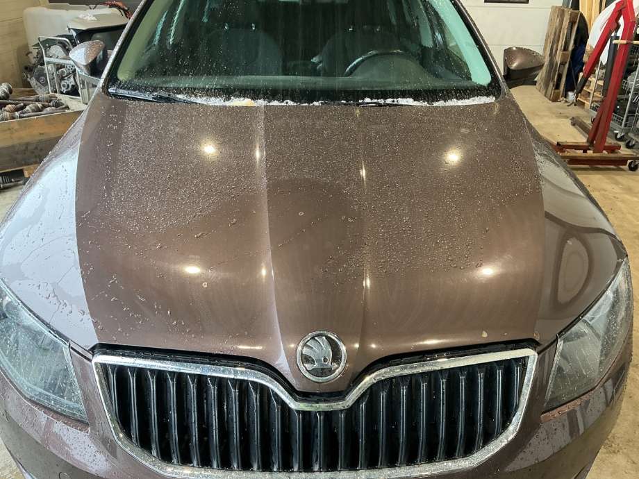 Panser til Škoda Octavia, 2013-2016 (Type III, Fase 1)  (SKODA|)