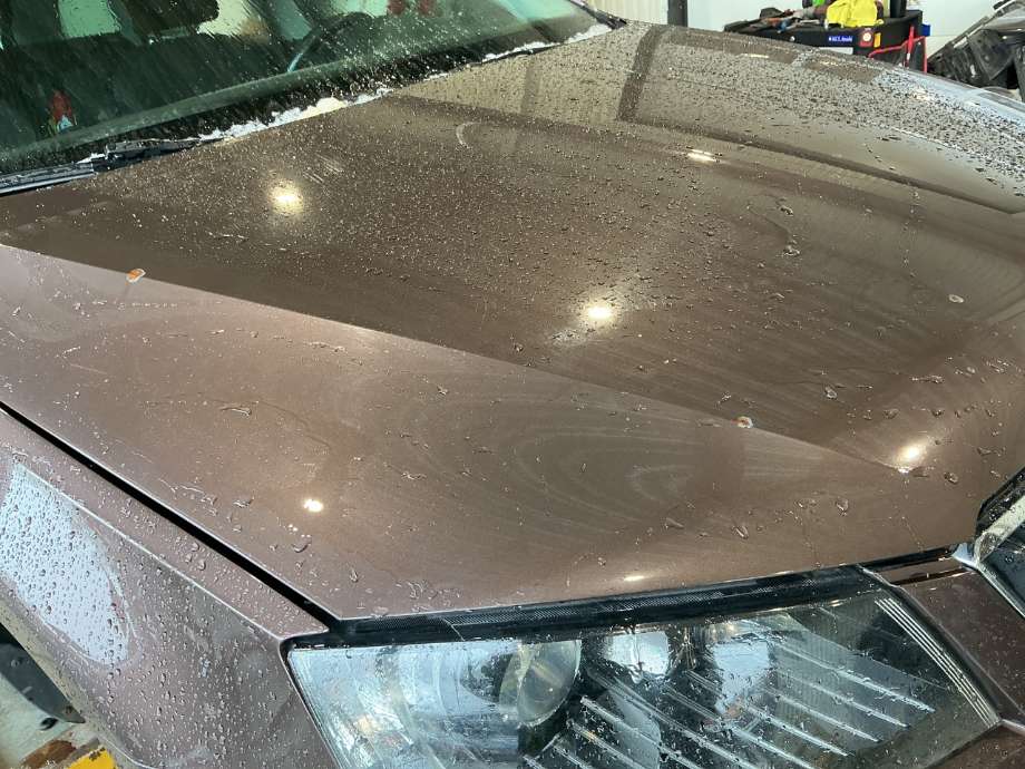 Panser til Škoda Octavia 2013-2016 (Type III, Fase 1)  (SKODA|)