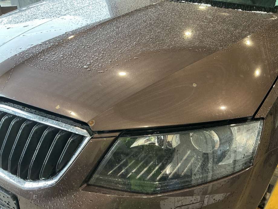 Panser til Škoda Octavia 2013-2016 (Type III, Fase 1)  (SKODA|)