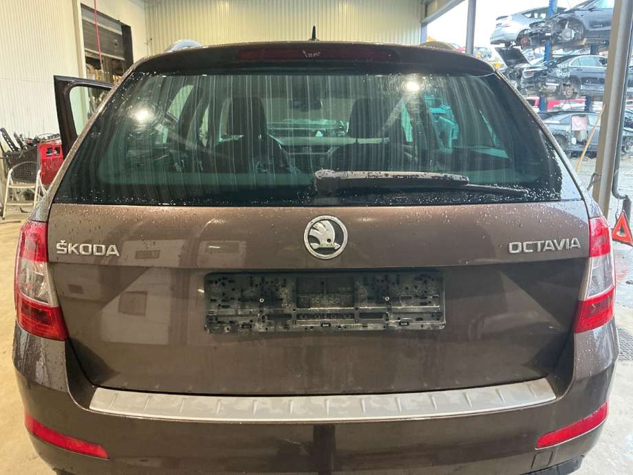 Bakluke til Škoda Octavia, 2013-2016 (Type III, Fase 1)  (SKODA|)