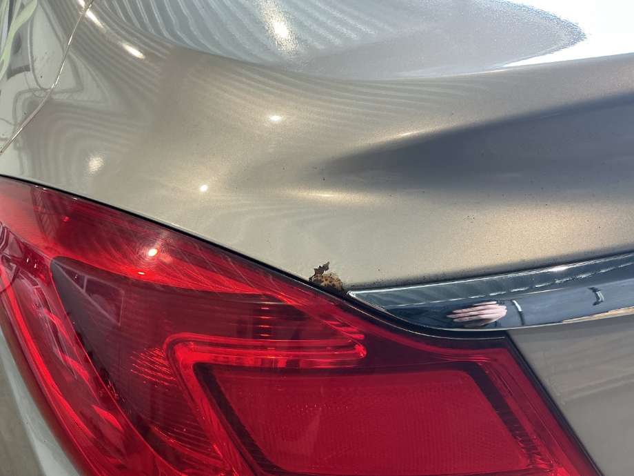 Bakluke sedan til Opel Insignia A 2009-2014 (OPEL|)