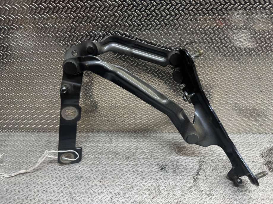 Hengsler til Tesla Model 3 2018-2023 (Fase 1)  (TESLA|109282000||155148200C)