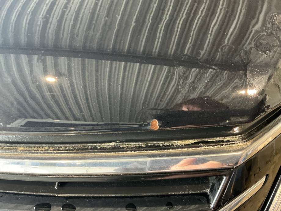 Panser til VW Passat 2011-2015 (B7) (B7) (VOLKSWAGEN|)