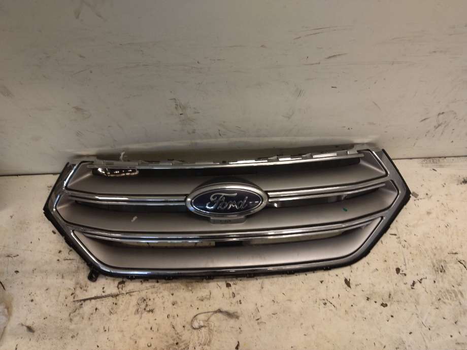 Grill til Ford Edge, 2016-2019 (FORD|2302494)