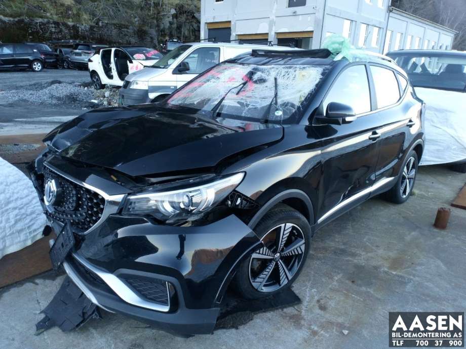 MG ZS EV, 2019-2021 (Type I, Fase 1)  delebil , Motorkode: TZ204XS1481