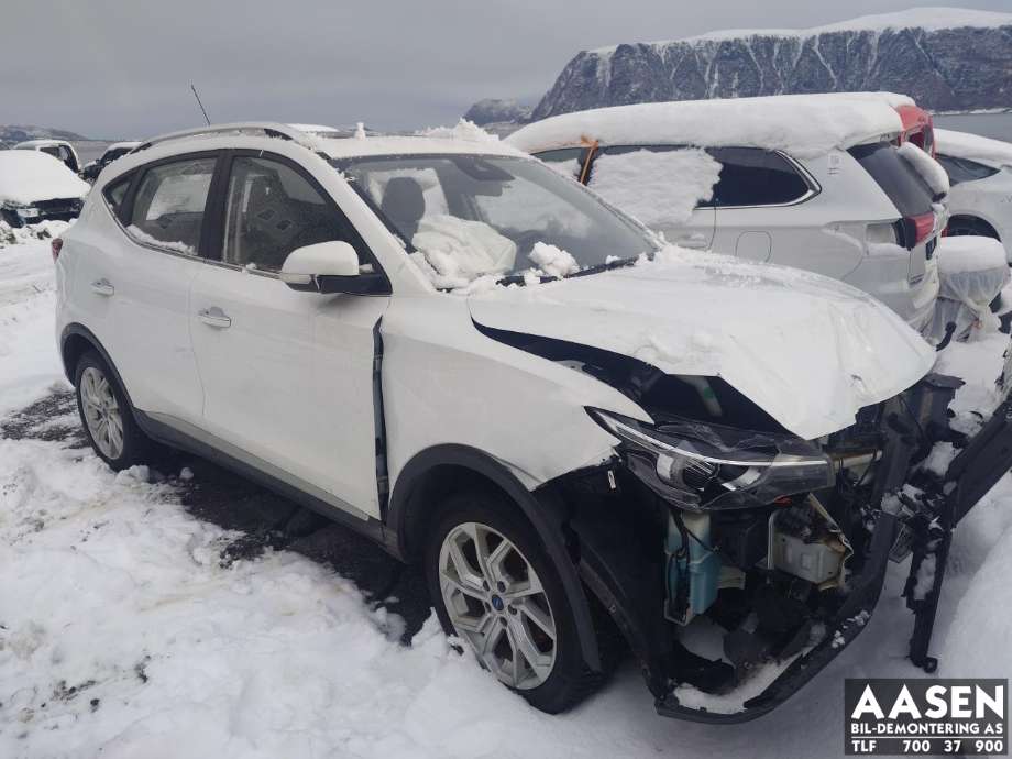 MG ZS EV, 2019-2021 (Type I, Fase 1)  delebil , Motorkode: TZ204XS1481