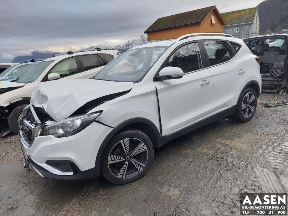 MG ZS EV, 2019-2021 (Type I, Fase 1)  delebil , Motorkode: TZ204XS1481