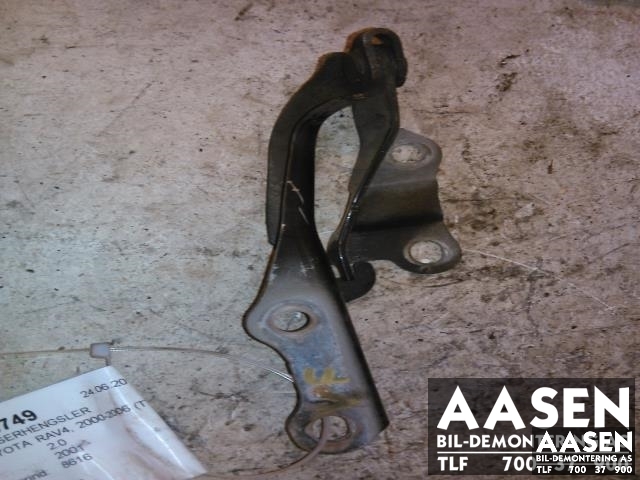 Panserhengsler til Toyota RAV4 2000-2006 (Type II)