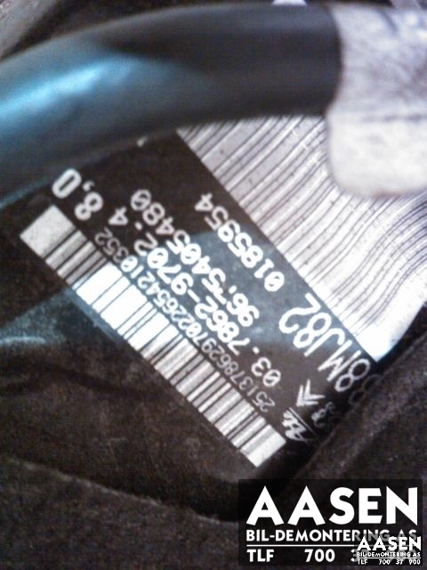 Bremsekraft-forsterker til Peugeot 308 2013-2021 (Type II)  (ATE|9675405480|)