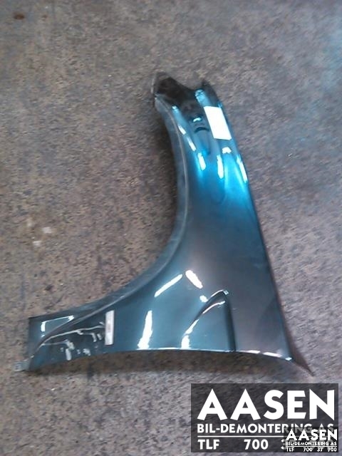 Skjerm venstre foran til BMW X5, 2000-2006 (E53) (E53) (41 35 7 000 385)