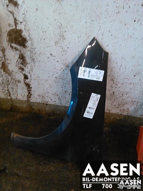 Skjerm venstre foran til Mercedes B-Klasse, 2005-2008 (Fase 1) (W245) (W245) (A 169 880 07 18)