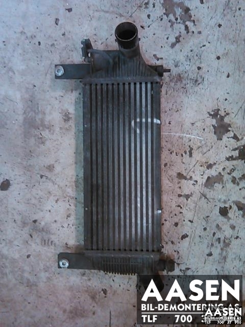 Intercooler til Nissan Navara, 2005-2010 (Fase 1) (D40) (D40) (14461EB360)