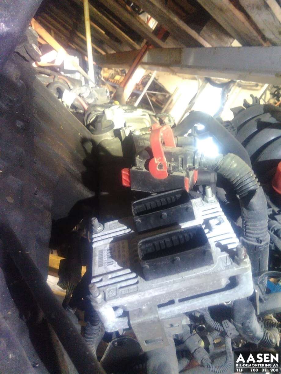 Motor bensin til Ford Ka 2008-2015 (Type II)  (169A4000|1557286|9S51-6006-AB|)