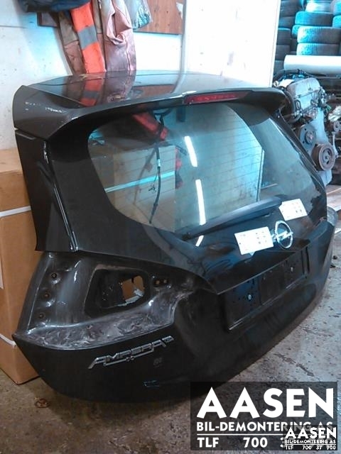 Bakluke combi til Opel Ampera-e 2017-->> (Type II) (42549060|)