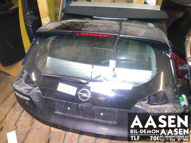 Bakluke combi til Opel Ampera-e 2017-->> (Type II) (42549060|)