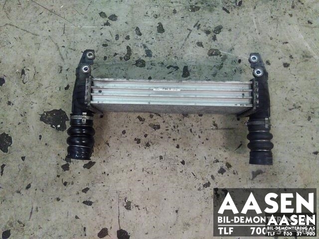 Intercooler til Ford Transit Connect 2003-2009 (Type I, Fase 1) (4999282|)