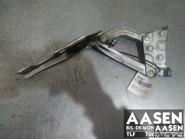 Panserhengsler til Opel Corsa D 2006-2014