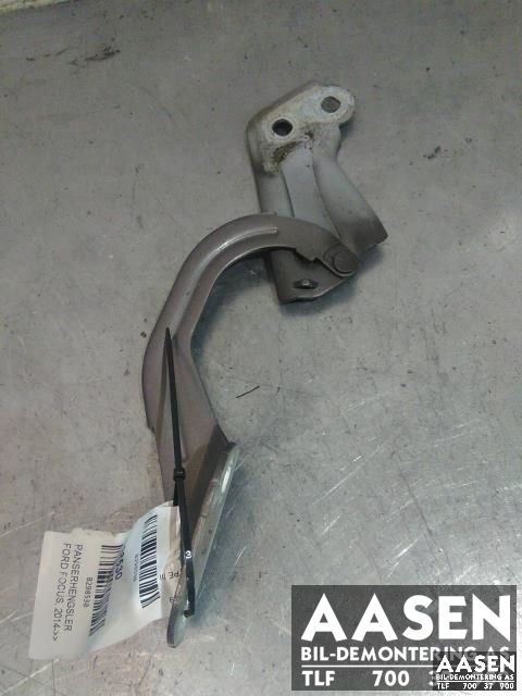 Panserhengsler til Ford Focus 2014-2018 (Type III, Fase 2)