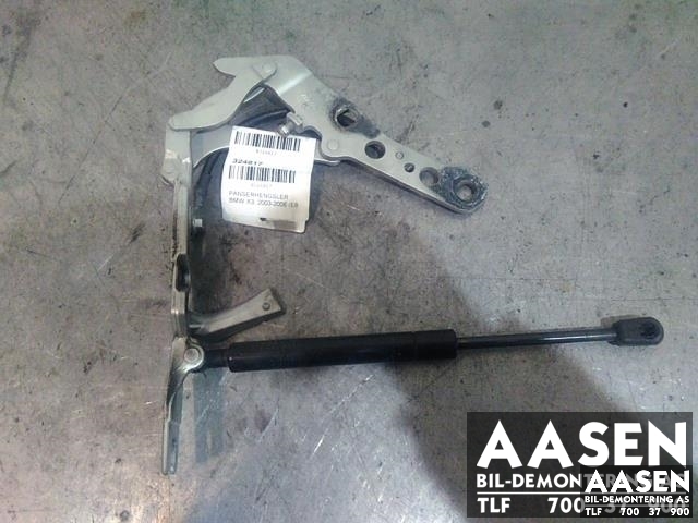 Panserhengsler til BMW X3 2003-2006 (Fase 1) (E83) (E83) (41 61 3 452 843|41 61 3 452 844|)